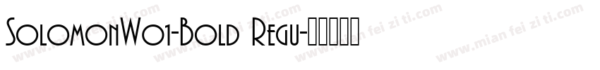 SolomonW01-Bold Regu字体转换